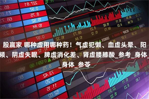 股赢家 哪种虚用哪种药！气虚犯懒、血虚头晕、阳虚尿频、阴虚失眠、脾虚消化差、肾虚腰膝酸_参考_身体_参苓