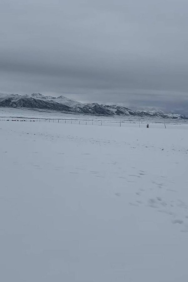 一片红配资 别地在炙烤青海在裹貂 当地气象局回应：是下雪了，但仅是海拔高区域