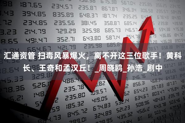 汇通资管 扫毒风暴爆火，离不开这三位歌手！黄科长、王奇和孟汉丘！_周晓鸥_孙浩_剧中