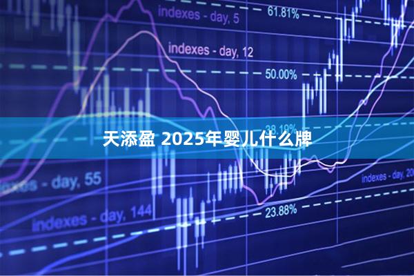 天添盈 2025年婴儿什么牌