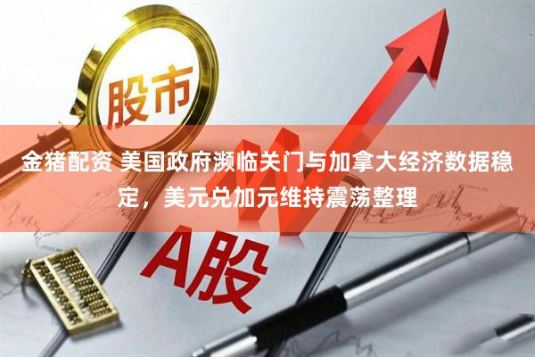 金猪配资 美国政府濒临关门与加拿大经济数据稳定，美元兑加元维持震荡整理
